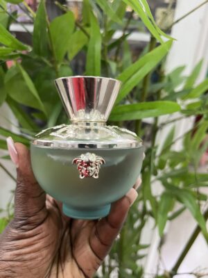 Versace Dylan turquoise edt 100ml (unboxed)