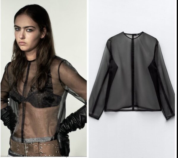 Zara organza mesh top in black