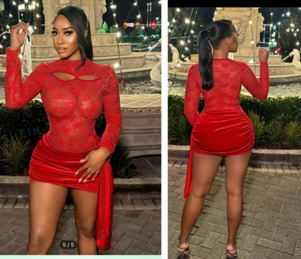 Shein sheer lacey hollow cut out dress in red 12/14