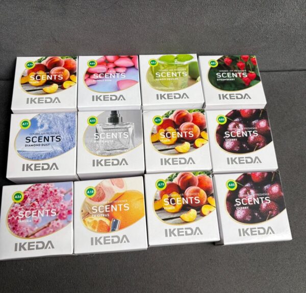 Ikeda ceramic Air freshener car scents