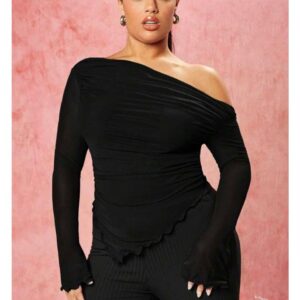 Shein off shoulder plus mesh long sleeve top in black