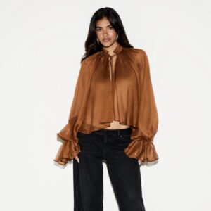 SHEIN classy tie neck crop ruffle top with bell sleeves in brown blouse